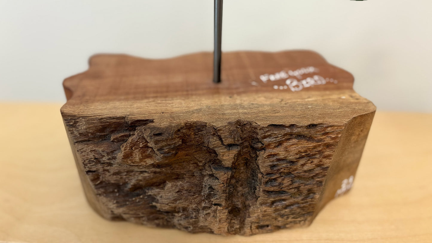 MOBILE ART The Patagonia (Motion Folk Art) by: Michael